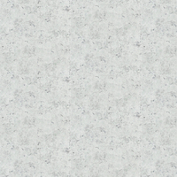 Designers Guild Wallpaper Lustro PDG1025/06