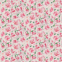 Designers Guild Wallpaper Variegated Azalea PJD6004/01