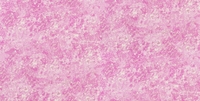 Designers Guild Wallpapers Botticino,  PDG640/10