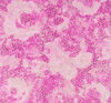 Designers Guild Wallpapers Palasini,  PDG647/10
