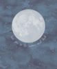 Eijffinger Mural Over the Moon 399119