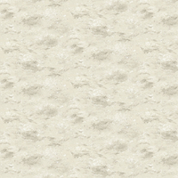Eijffinger Wallpaper Storms 300850
