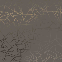 Erica Wakerly Wallpaper Angles ANGLES013
