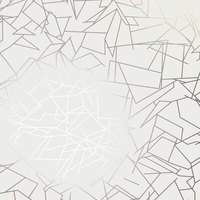 Erica Wakerly Wallpaper Angles ANGLES014