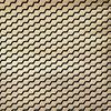 Erica Wakerly Wallpaper BUZZ BUZZ003