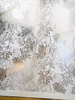 Erica Wakerly Wallpaper Hothouse HOT S/W