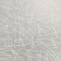 Erica Wakerly Wallpaper TILT TILT003