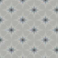 Etten Wallpaper North Star ET11408