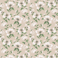 Manuel Canovas Wallpaper Bianca 03118-01