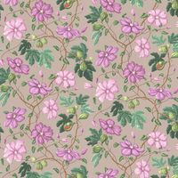 Manuel Canovas Wallpaper Castellane 03110-03