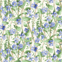 Manuel Canovas Wallpaper Elena 03114-03