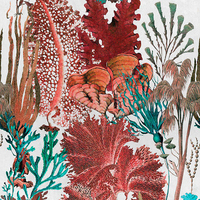 Mind the Gap Mural Coral Reef set of 3 panels WP20299
