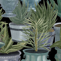 Mind the Gap Mural Echeveria WP20163