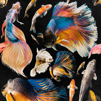 Mind the Gap Mural Goldfish set of 3 panels WP20301