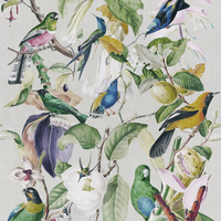 Mind the Gap Mural Tropical Birds WP20172