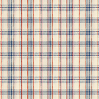Mind the Gap Wallpaper Seaport Plaid WP30068
