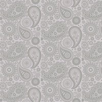 Mini Moderns Wallpaper Paisley Crescent AZDPT019 Concrete