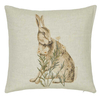 Morris Cushion Little Chintz Cushion CSHLICTCLIN