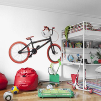 Mr Perswall Mural Bike P172802-6
