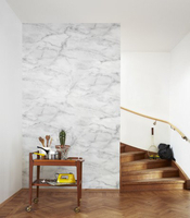 Mr Perswall Mural Magic Marble P162701-4