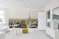 Mr Perswall Mural Paris Skyline E030601-8