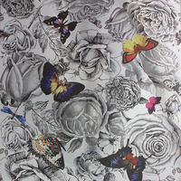 Osborne & Little Wallpaper Butterfly Garden W6592/02