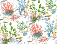 Osborne & Little Wallpaper Coralline W7682-01