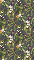 Osborne & Little Wallpaper Michelia W7612-01