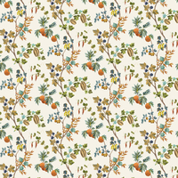 Osborne & Little Wallpaper Orchard W7686-01