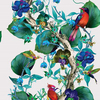 Osborne & Little Wallpaper Rain Forest W7026/01