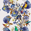 Osborne & Little Wallpaper Rain Forest W7026/02