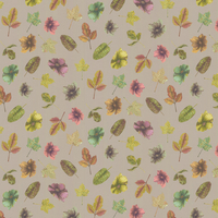 Osborne & Little Wallpaper Woodland W7020/01