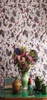 Osborne & Little Wallpapers Bird Song,  W6596-01