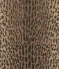 Osborne & Little Wallpapers Pantanal,  W6759/03