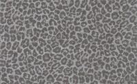 Osborne & Little Wallpapers Pardus,  W6758/02