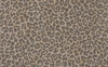 Osborne & Little Wallpapers Pardus,  W6758/03