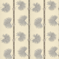 Paint & Paper Library Wallpaper Hardy Palm 0360HACANVA