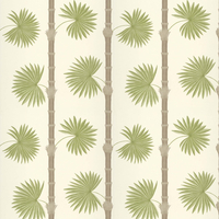 Paint & Paper Library Wallpaper Hardy Palm 0360HASANDZ