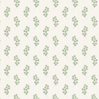 Paint & Paper Library Wallpaper Honesty 0360HOCHELS