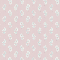 Paint & Paper Library Wallpaper Honesty 0360HOPLAST
