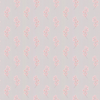 Paint & Paper Library Wallpaper Honesty 0360HOSALTZ