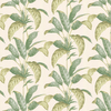 Paint & Paper Library Wallpaper Tropicane 0360TRCHELS