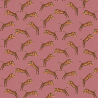 Paloma Home Wallpaper Pouncing Tigers POU/BLO/WP