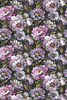 Prestigious Fabric Secret Oasis 3803/816