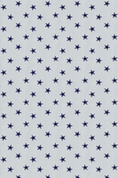 Prestigious Fabric Starboard Denim,  1361/703