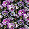 Prestigious Wallpaper Secret Oasis 1820/816