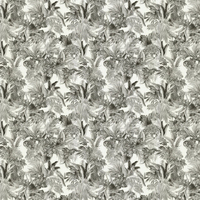 Roberto Cavalli Wallpaper Kenya 18006