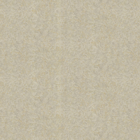 Roberto Cavalli Wallpaper Metallic Texture 19061