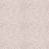Roberto Cavalli Wallpaper Tiger Print 17066