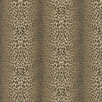 Roberto Cavalli Wallpaper Unito Pantera 18029